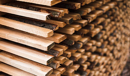 Timber business